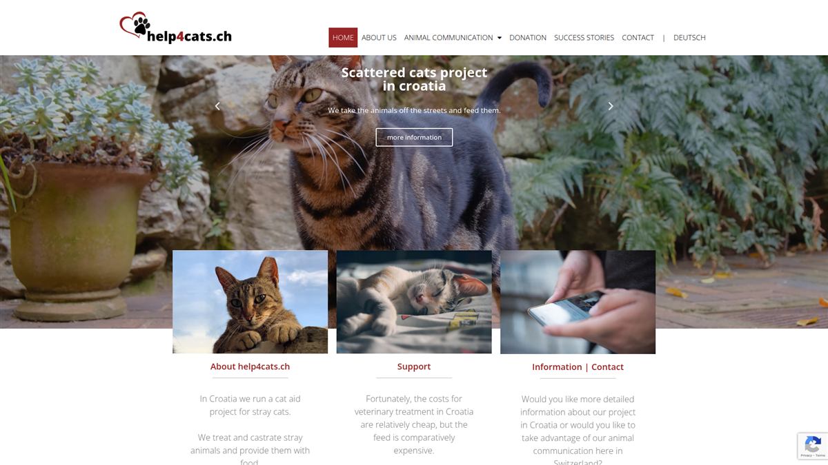 Help4Cats
